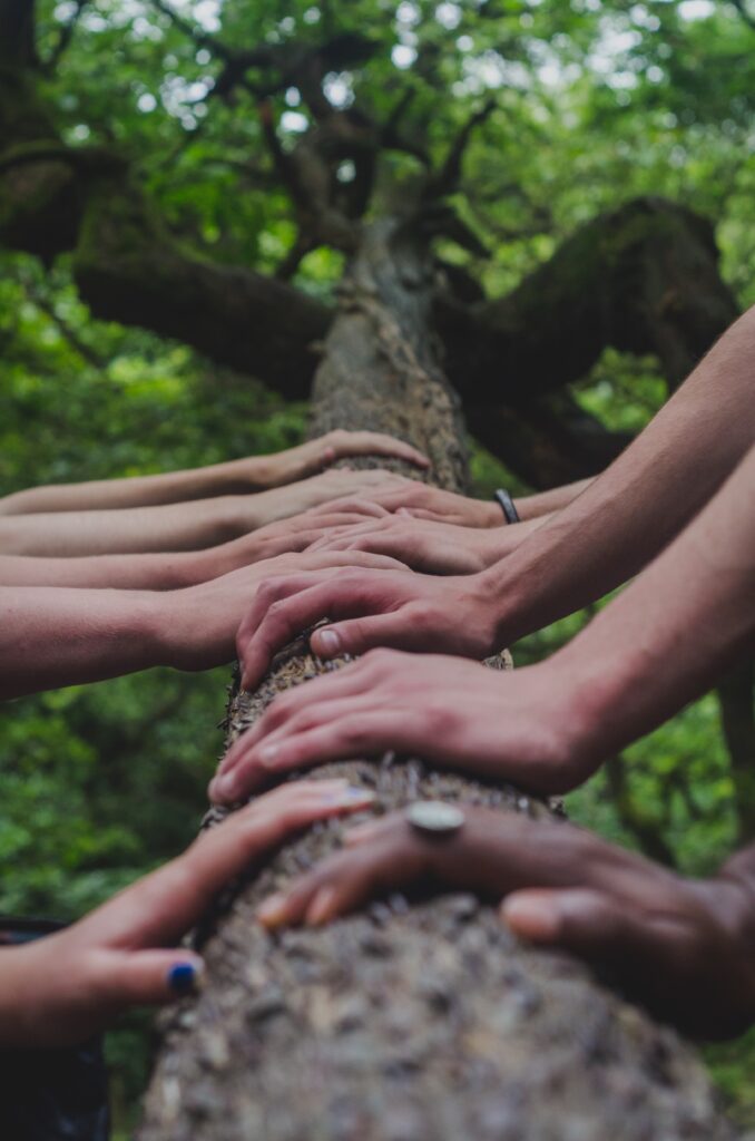 Many hands working together